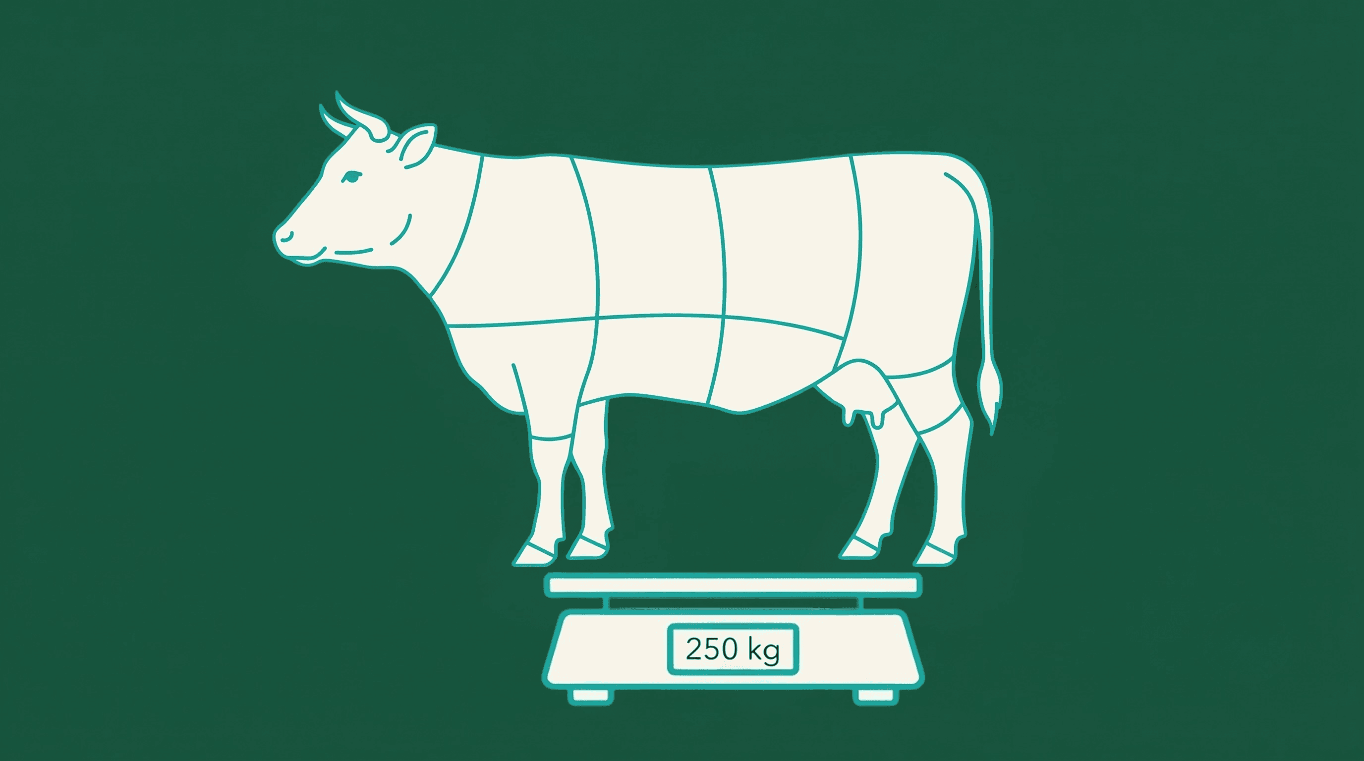 Catch-Weight + Inverse BOM 101: Why Meat Processors Lose Margin Without Them