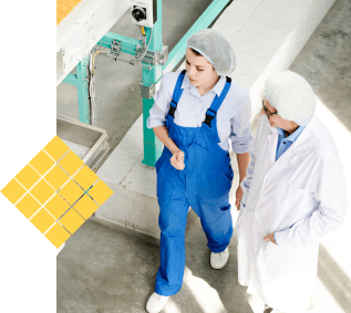 inecta team collaborating on food ERP solutions