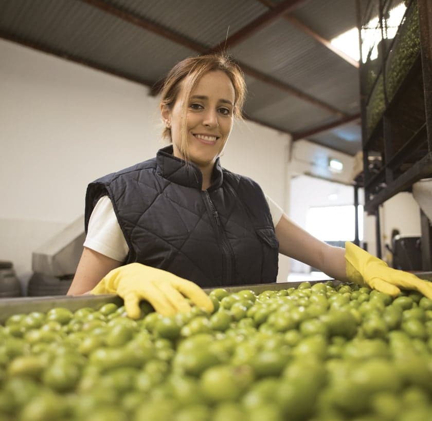 Fresh produce being packed for distribution