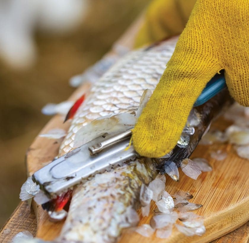 Seafood processing facility