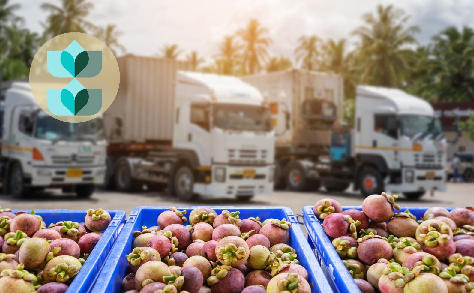 Why Your Food Distribution Company Needs a Next-Gen ERP System