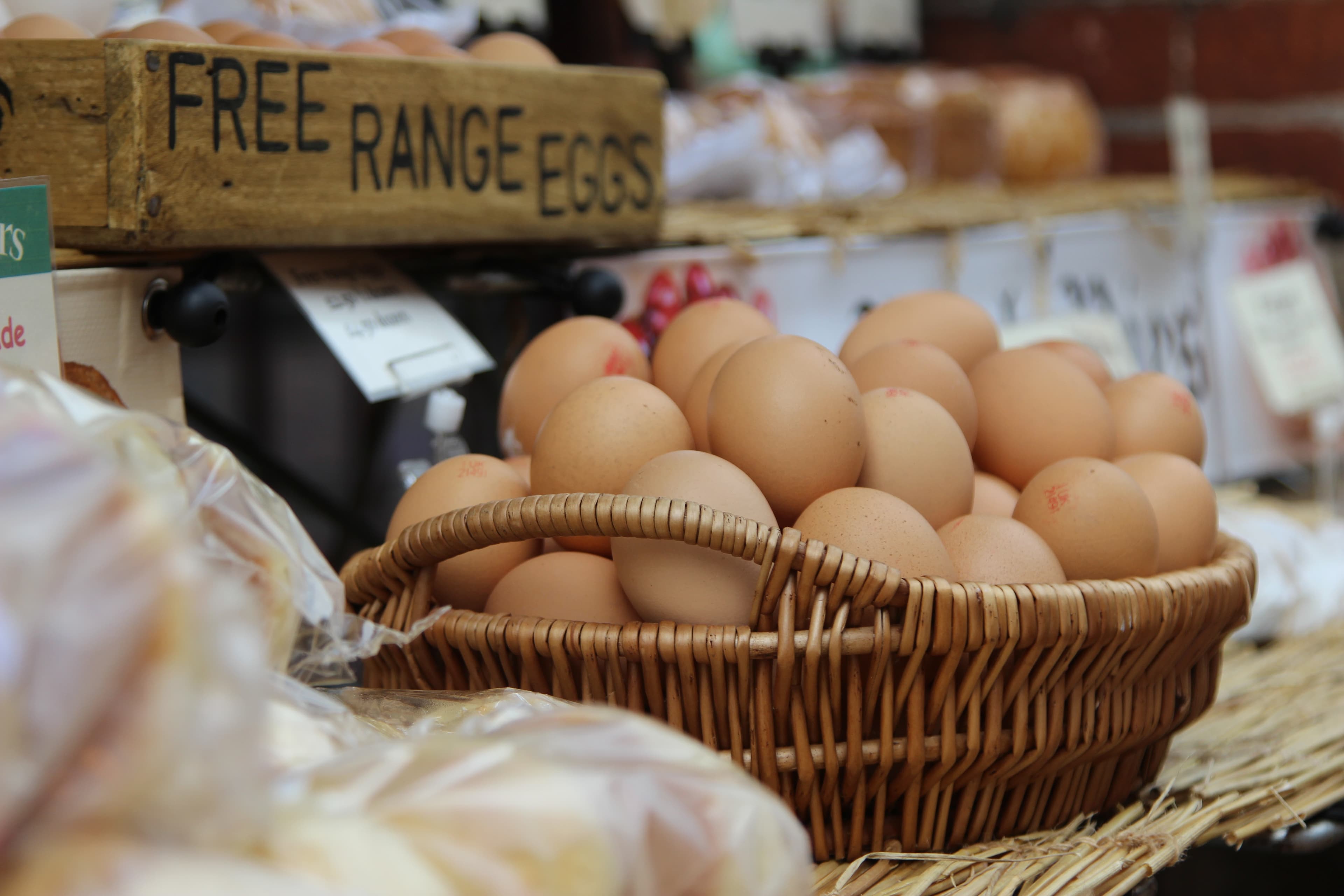 What You Can Expect In The 2023 Egg Shortage