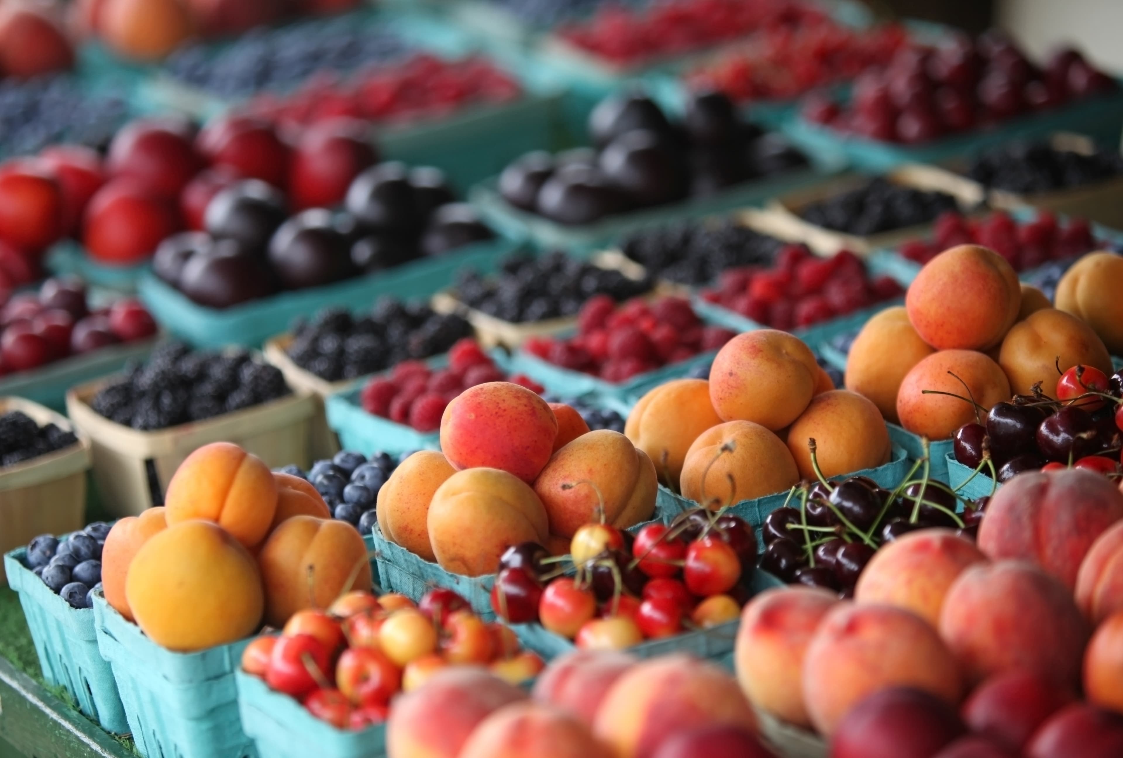 AdobeStock_15807850-1
