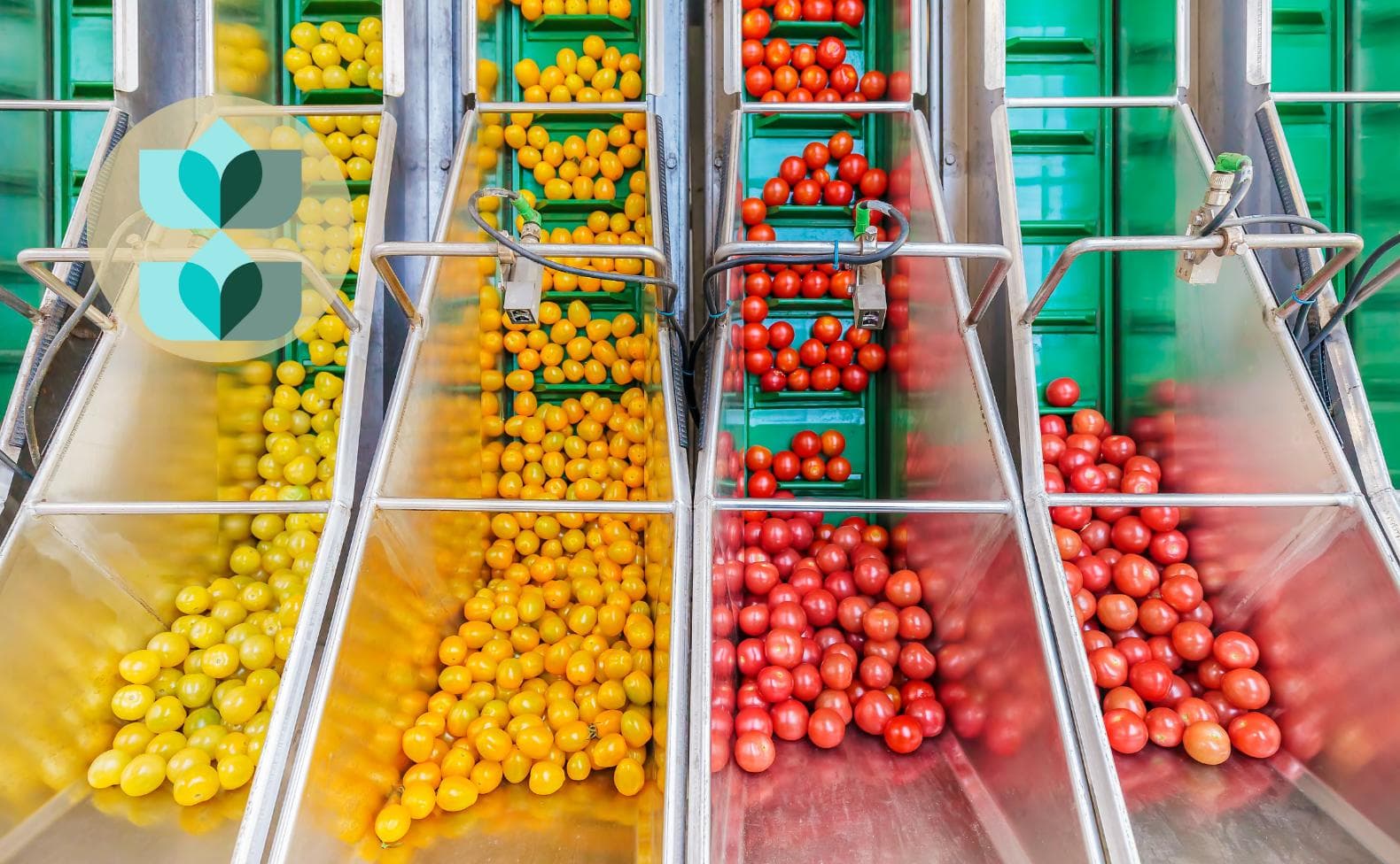 What is the Typical Cost of Implementing a Food ERP System?