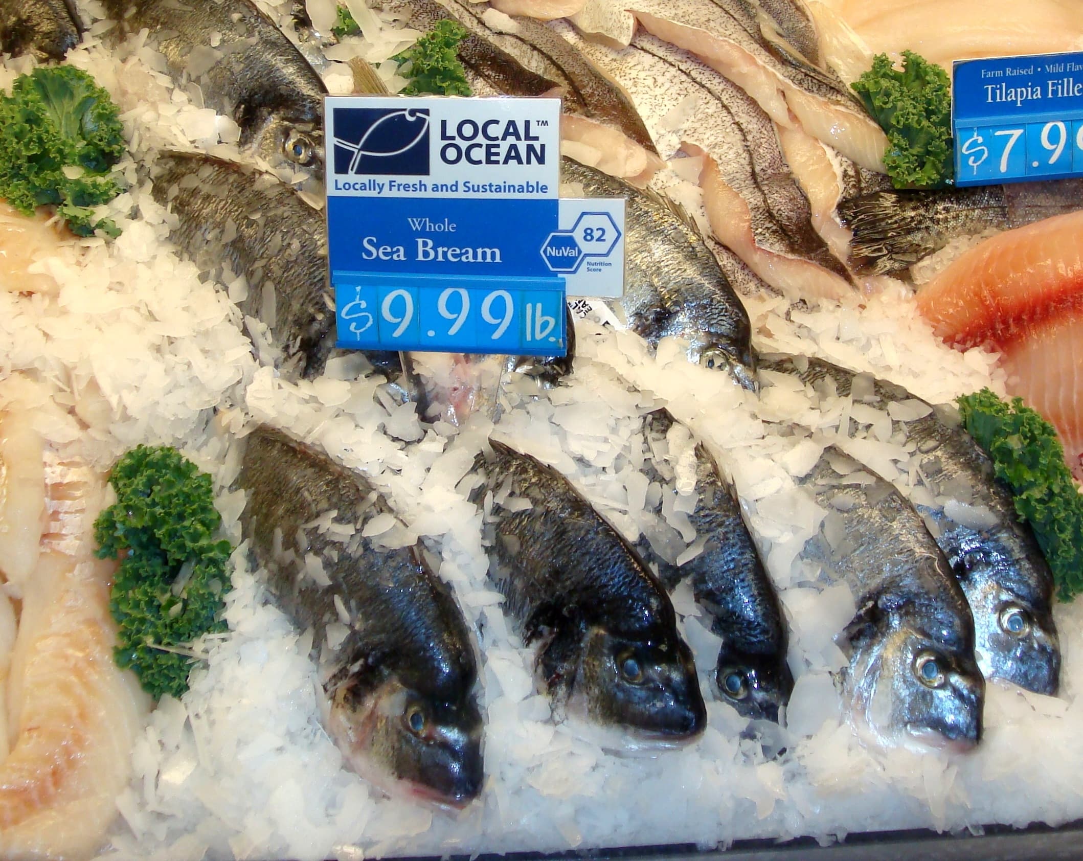 seabream_niskayuna-store-ice-case