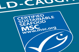 What Does the MSC Label Mean?