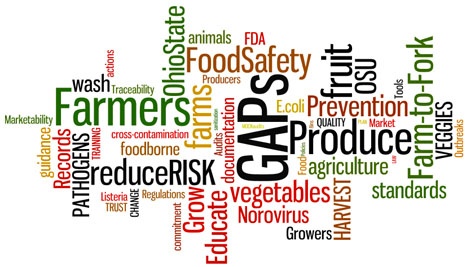 Food Safety Compliance